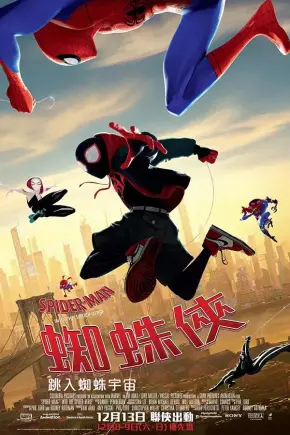 蜘蛛侠 跳入蜘蛛宇宙