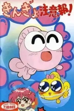 娱乐金鱼眼剧场版:梦之世界